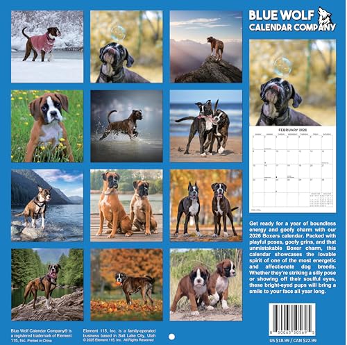 2026 Boxers Monthly Wall Calendar | 12" x 24" | Dogs Calendar September 2025- December 2026