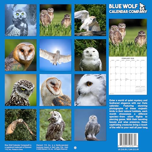 2026 Owls Monthly Wall Calendar | 12" x 24" | Animals Calendar 2025-2026