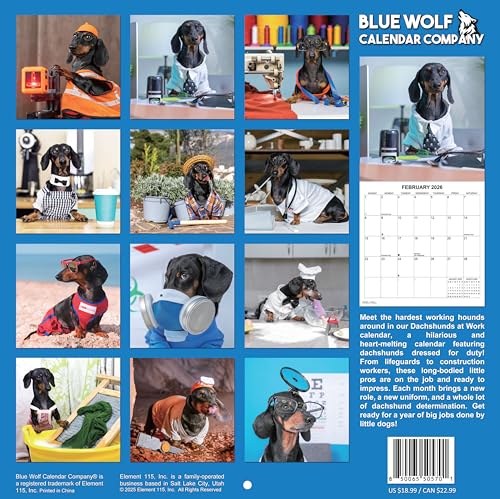 2026 Dachshunds at Work Monthly Wall Calendar | 12" x 24" | Funny Wiener Dog Calendar September 2025- December 2026