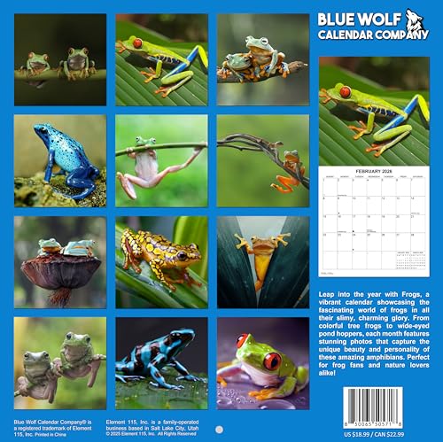 2026 Frogs Monthly Wall Calendar | 12" x 24" | Animals Calendar 2025-2026