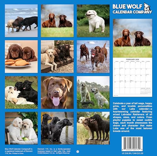 2026 Labs Monthly Wall Calendar | 12" x 24" | Labrador Retriever Dogs Calendar September 2025- December 2026