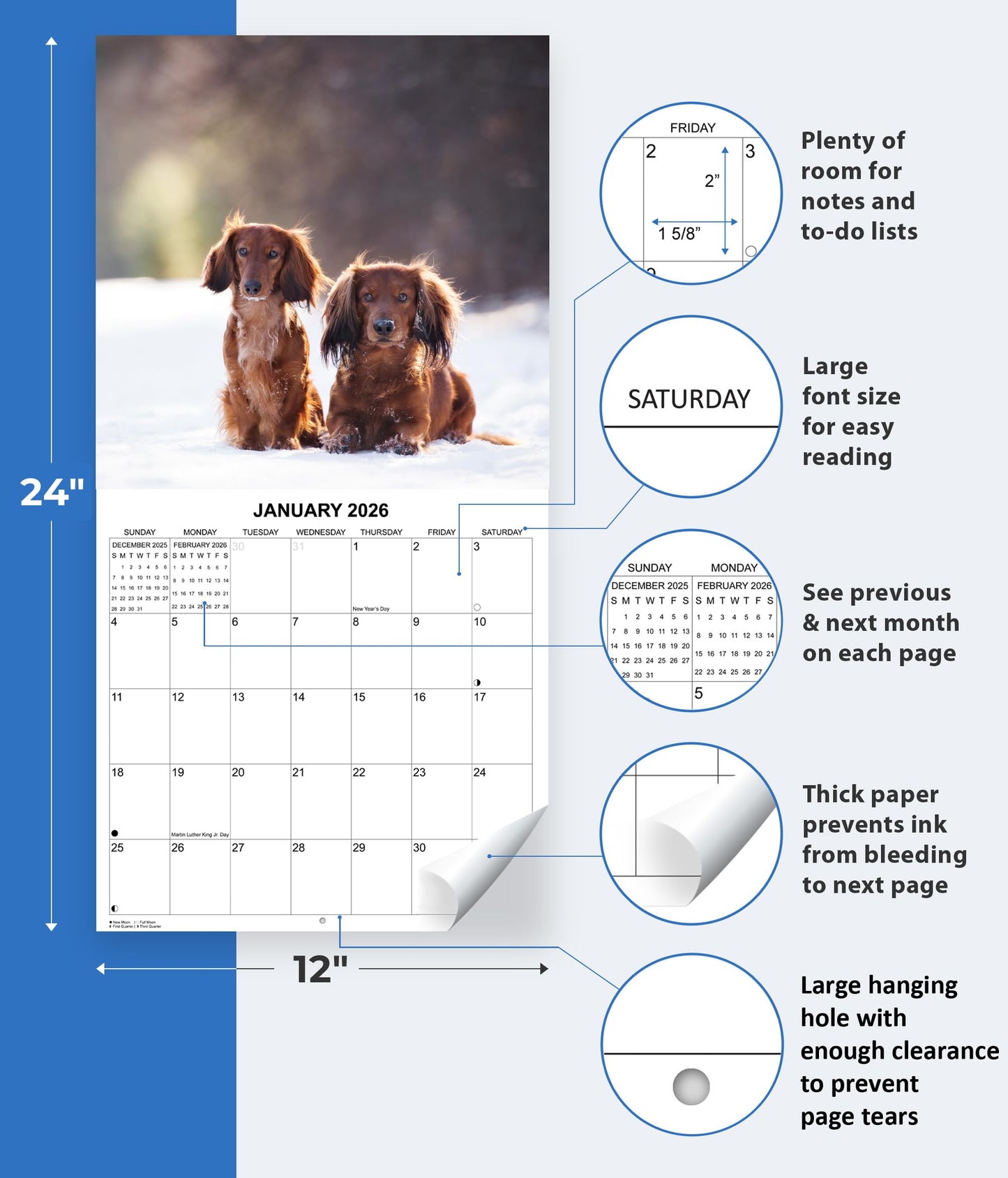 2026 Dachshund Weiner Dogs Monthly Wall Calendar | 12" x 24" | Wiener Dog Calendar September 2025- December 2026