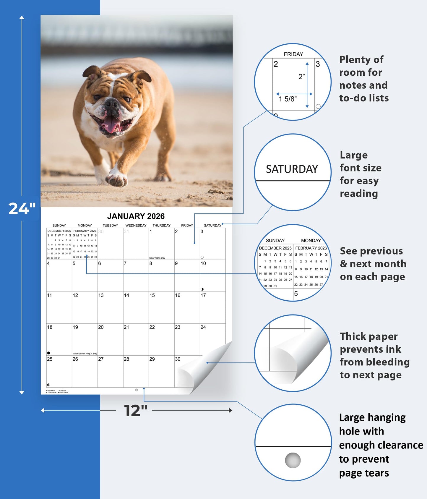 2026 English Bulldogs Monthly Wall Calendar | 12" x 24" | Dog Calendar September 2025 - December 2026
