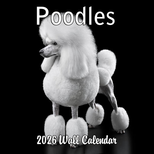 2026 Poodles Monthly Wall Calendar | 12" x 24" | Dogs Calendar 2025-2026
