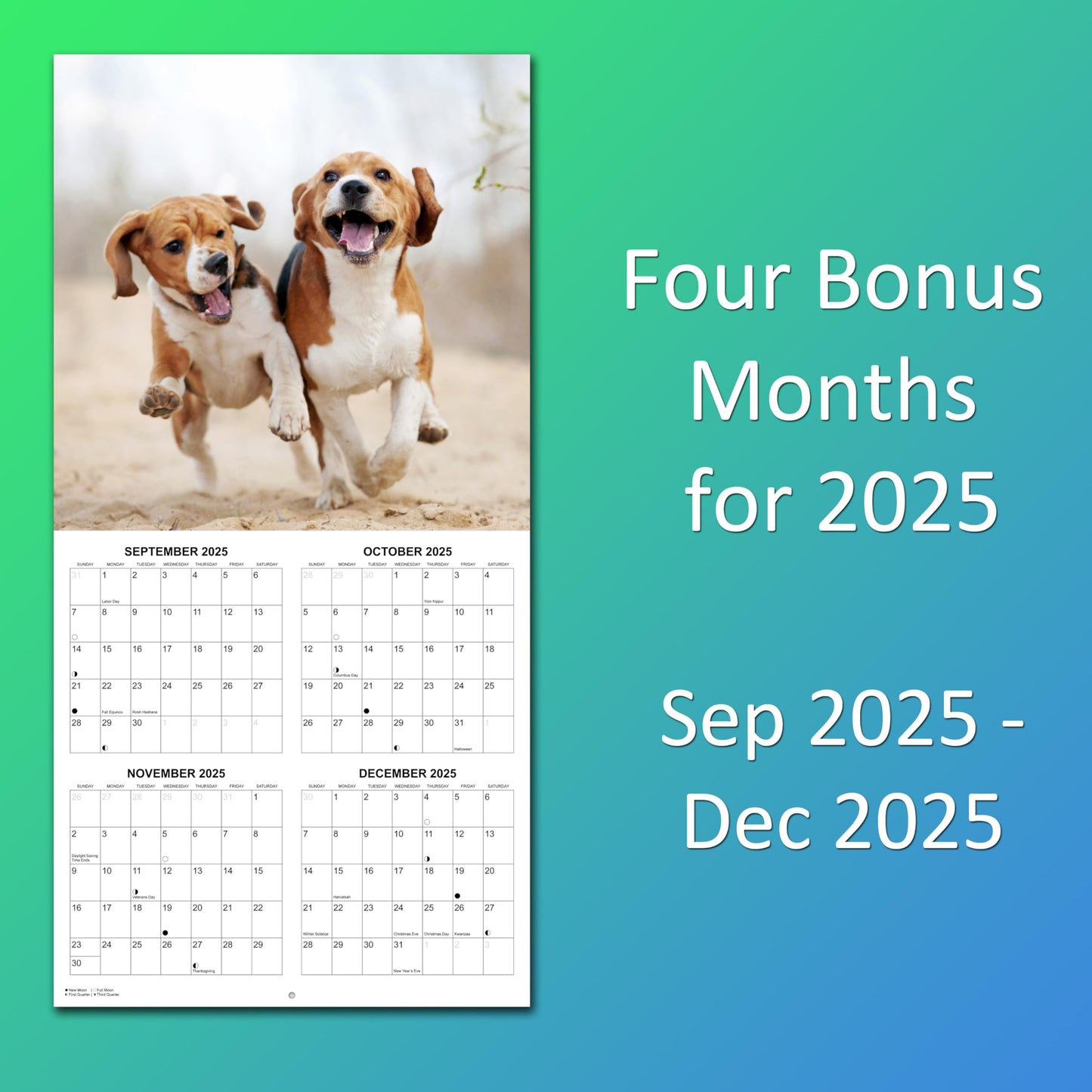 2026 Beagles Monthly Wall Calendar | 12" x 24" | Dogs Calendar September 2025- December 2026