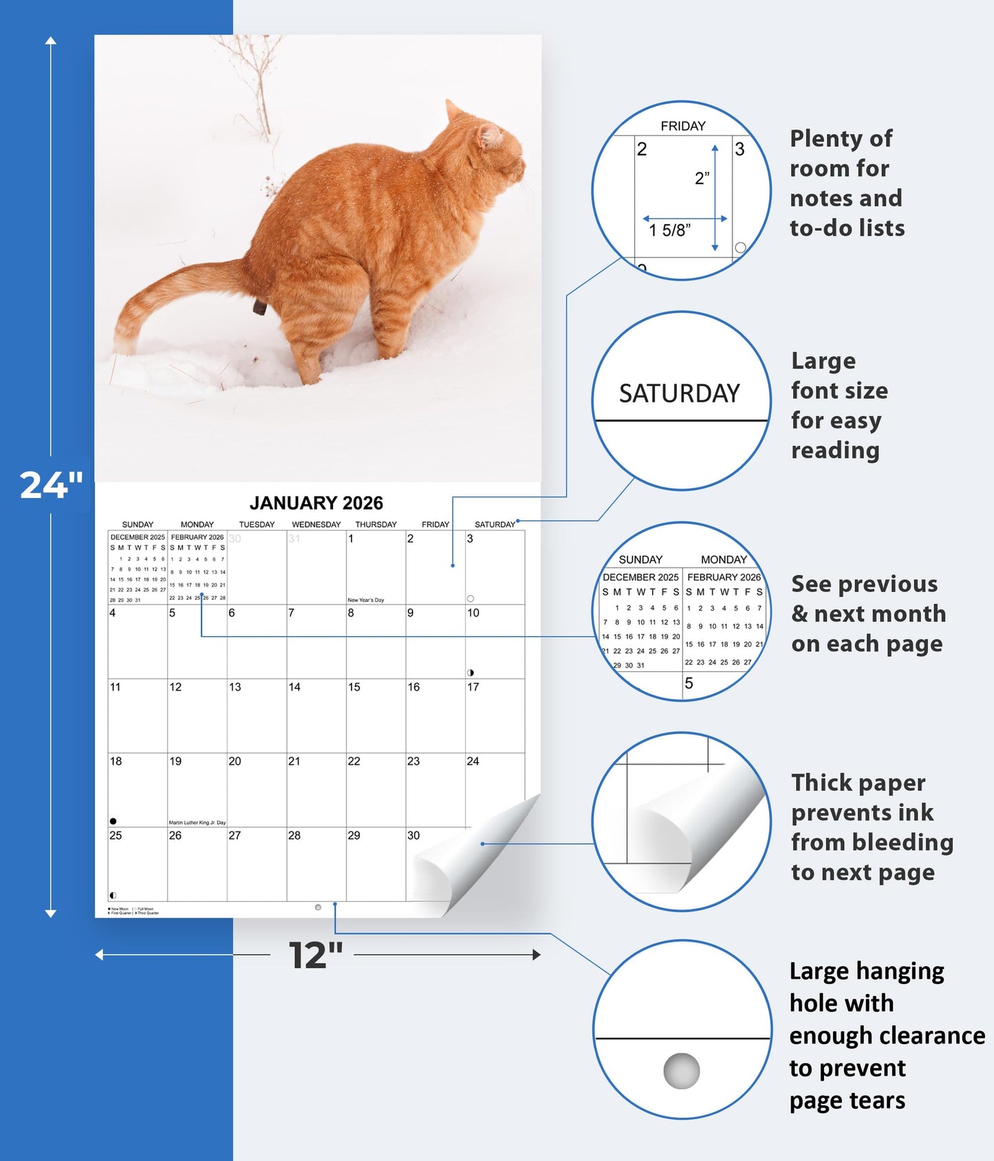 2026 Fecal Felines Monthly Wall Calendar | 12" x 24" | Prank Gift White Elephant or Gag Gift Pooping Cats Calendar