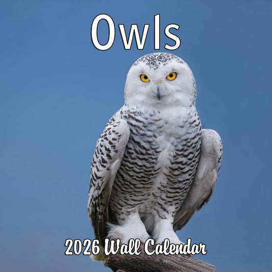 2026 Owls Monthly Wall Calendar | 12" x 24" | Animals Calendar 2025-2026