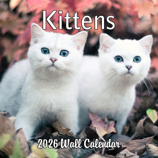 2026 Kittens Monthly Wall Calendar | 12" x 24" | Thick Sturdy Paper | Cute Cats Calendar 2025-2026