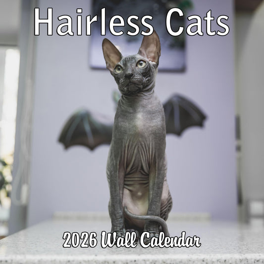 2026 Hairless Cats Monthly Wall Calendar | 12" x 24" | Thick Sturdy Paper | Sphynx Cats Calendar 2025-2026