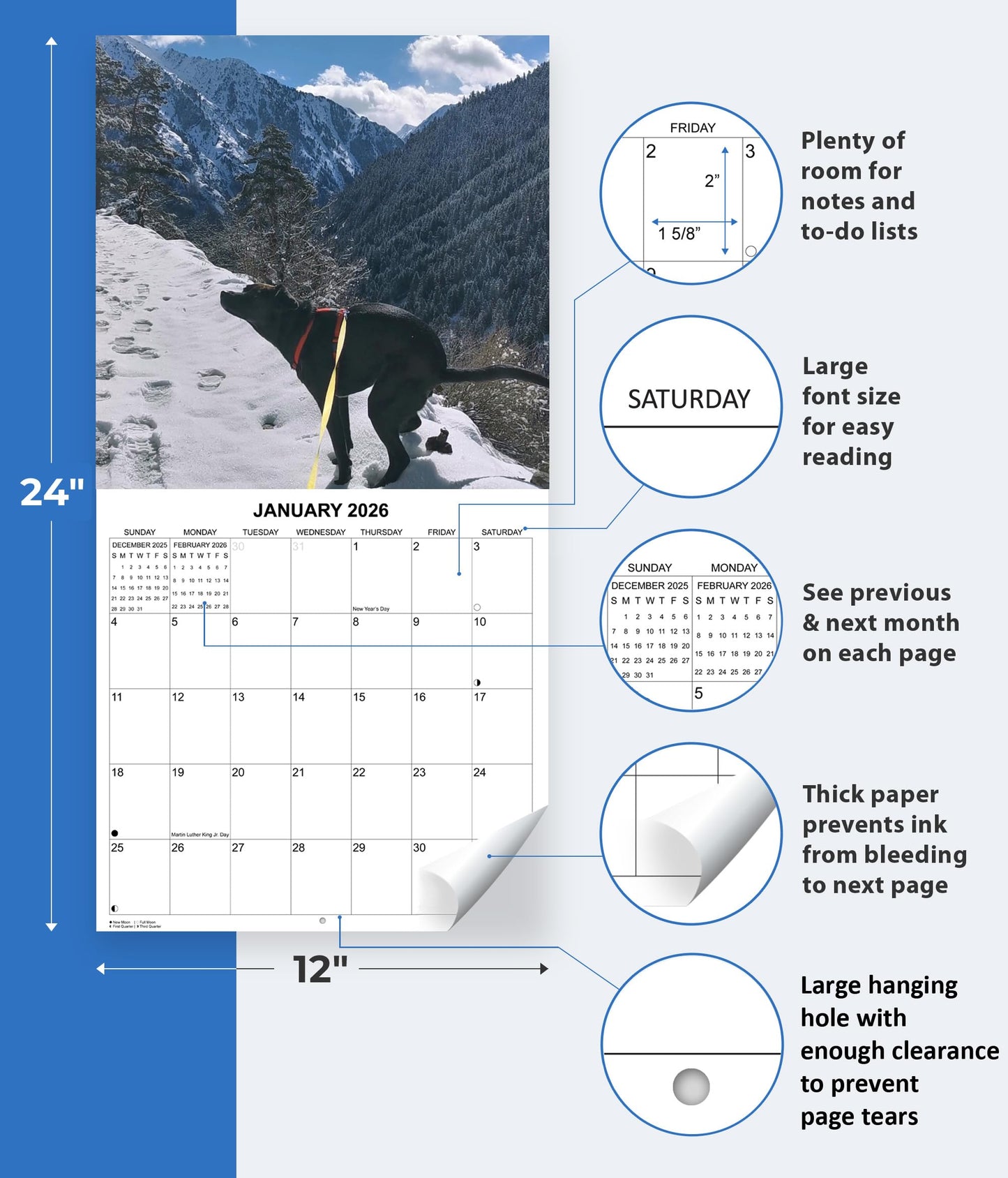 2026 Dumping Dogs in Scenic Spots Monthly Wall Calendar - Pooping Dogs Calendar | 12" x 24" | 2026 Prank Gift White Elephant or Gag Gift Calendar 2026