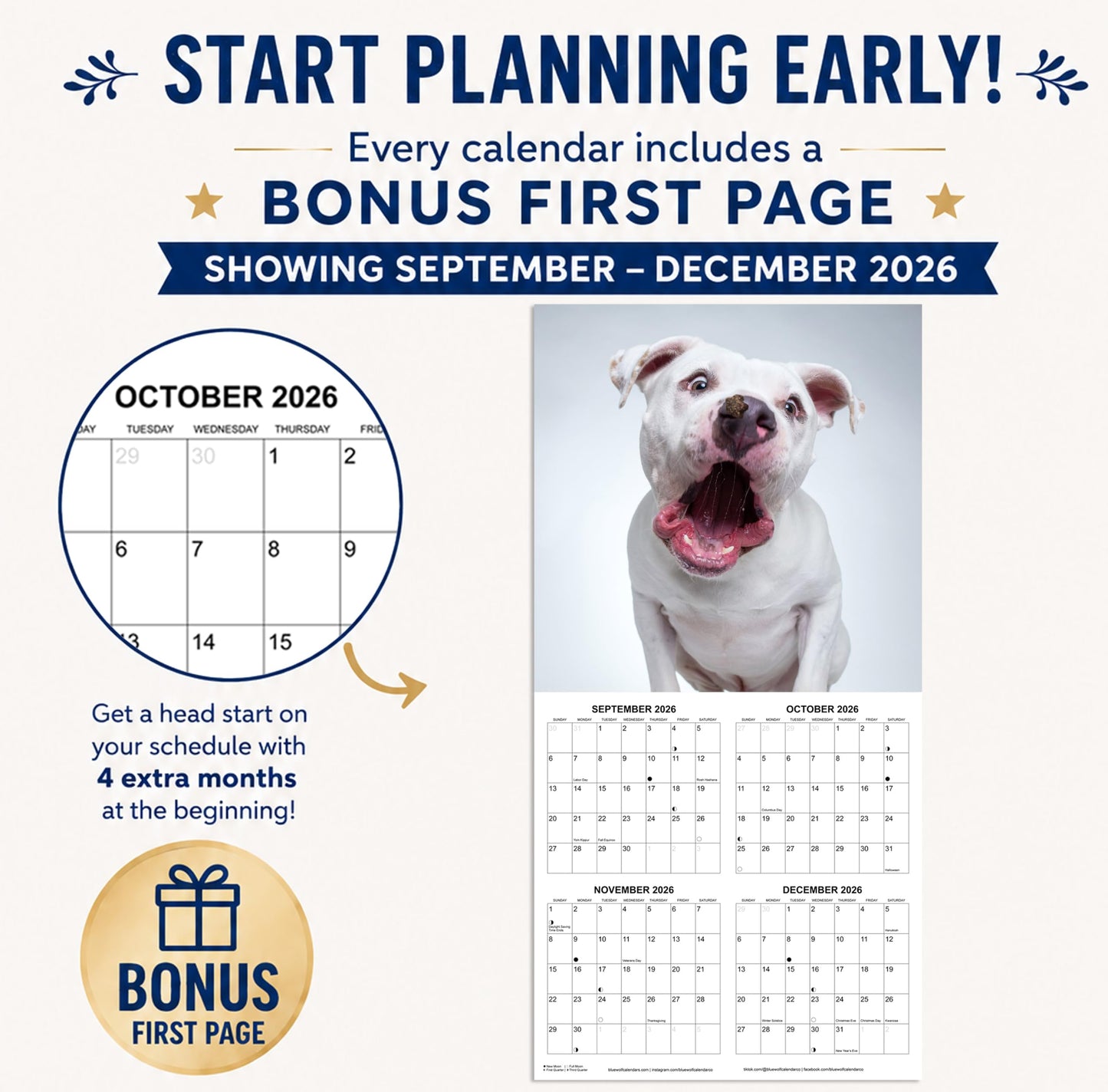 2027 Treat Time Monthly Wall Calendar | Funny Dogs Calendar September 2026 - December 2027