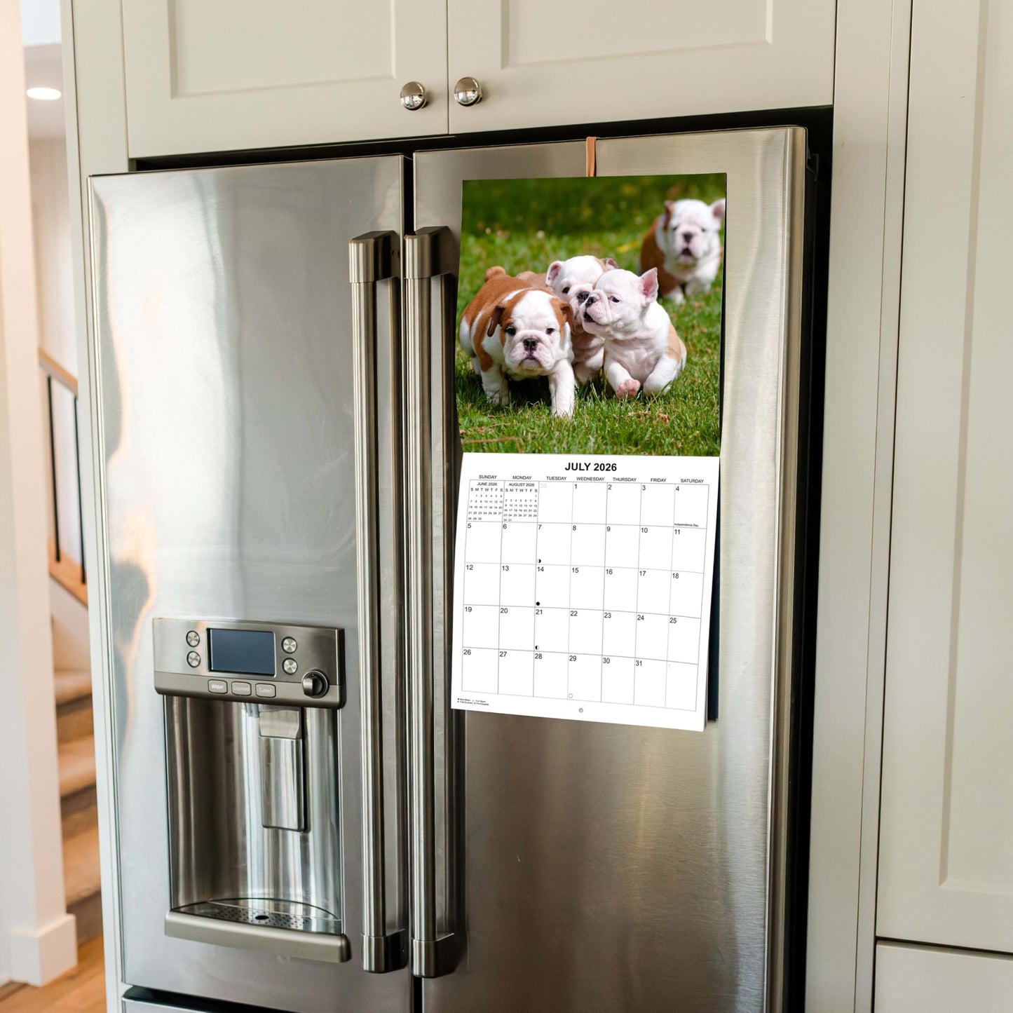 2026 English Bulldogs Monthly Wall Calendar | 12" x 24" | Dog Calendar September 2025 - December 2026