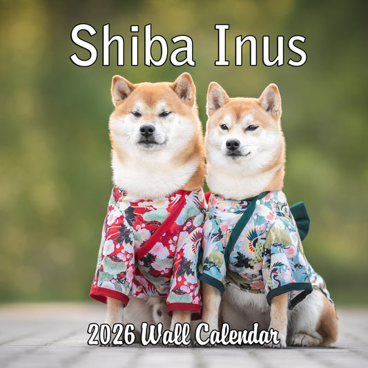 2026 Shiba Inus Monthly Wall Calendar | 12" x 24" | Dogs Calendar 2025-2026