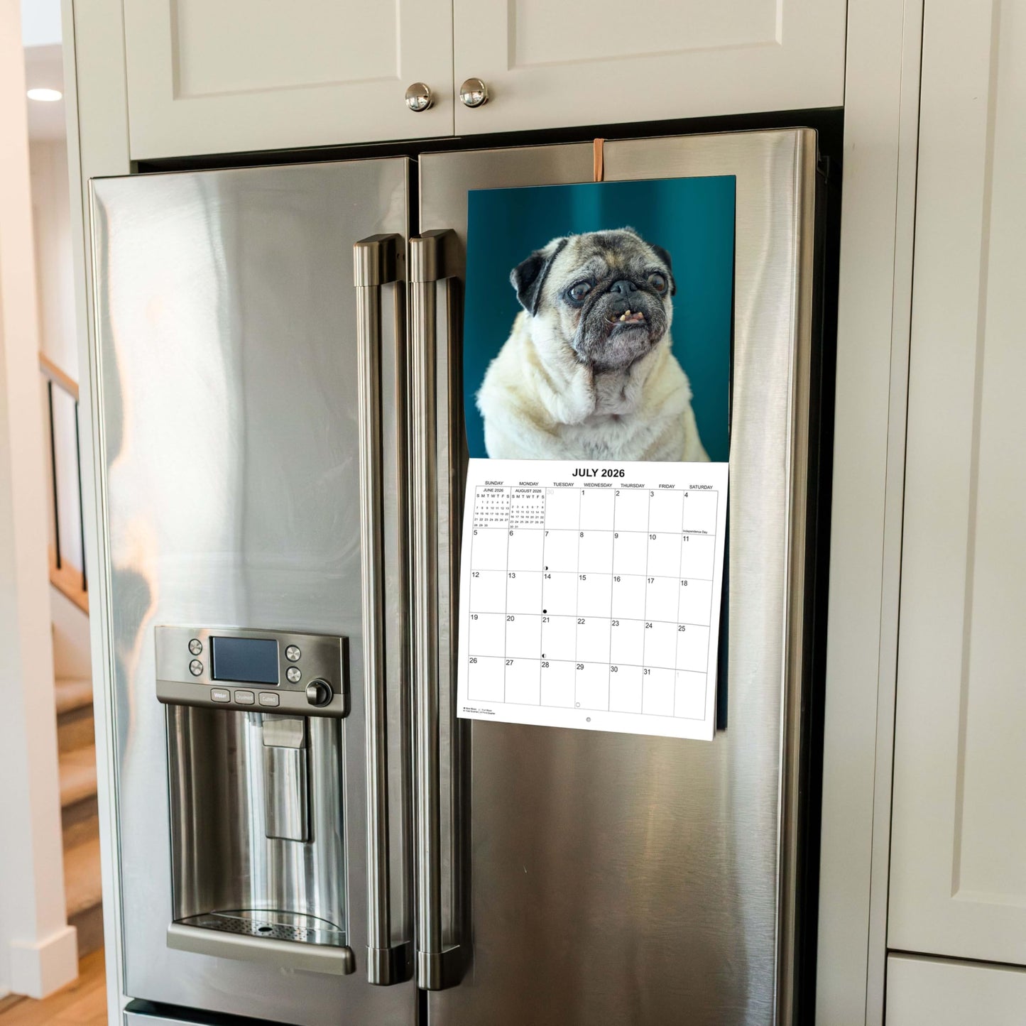 2026 Ugly Dogs Monthly Wall Calendar | Hilarious Gag Gift for Dog Lovers | Funny Dogs White Elephant Gift Calendar September 2025 - December 2026