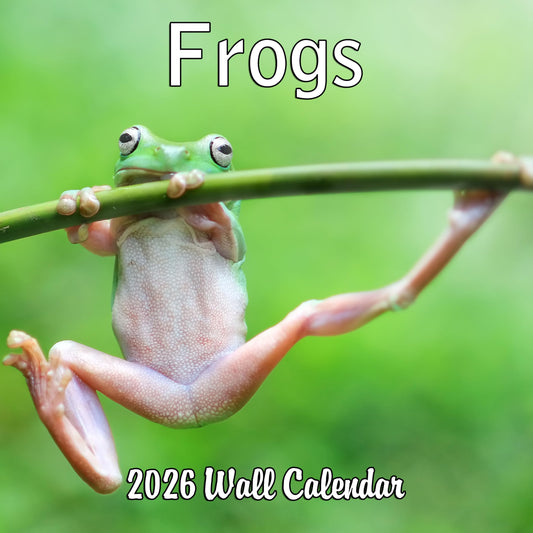 2026 Frogs Monthly Wall Calendar | 12" x 24" | Animals Calendar 2025-2026