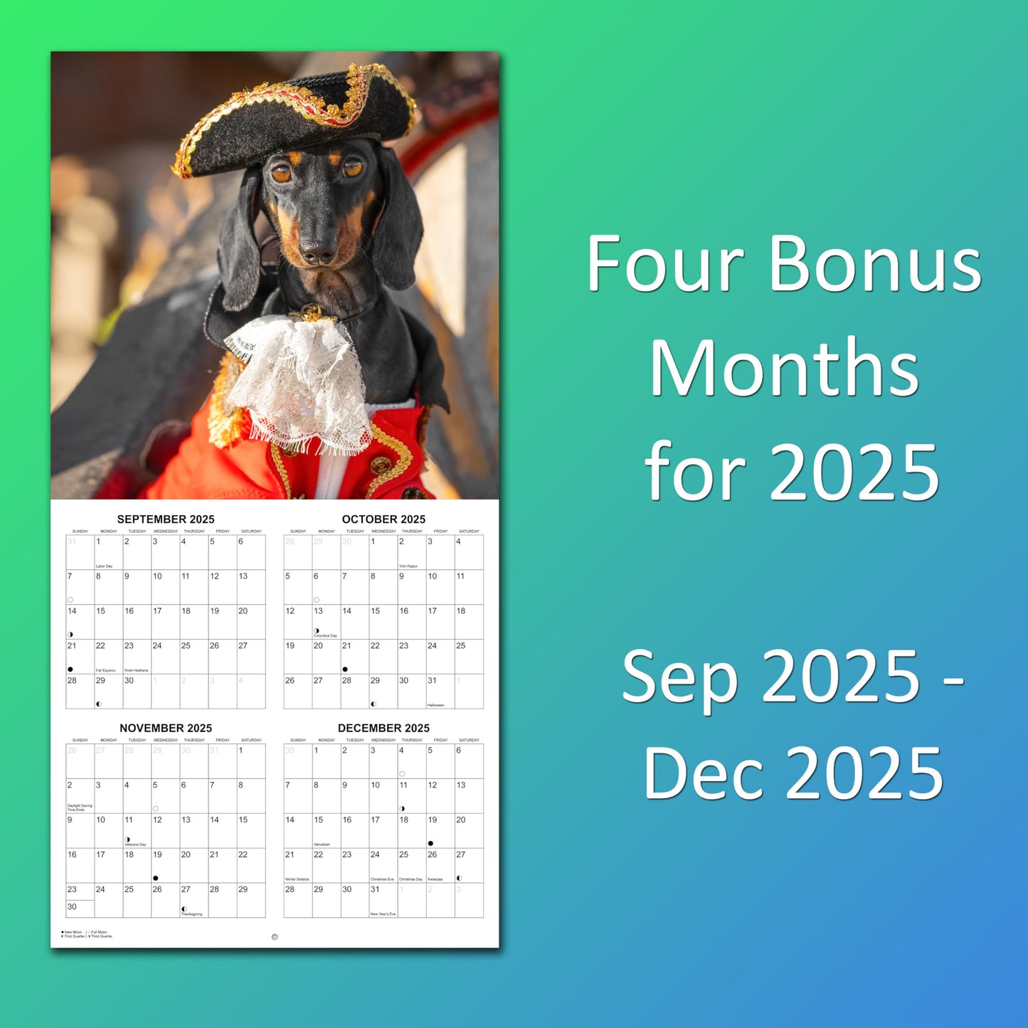 2026 Dachshunds at Work Monthly Wall Calendar | 12" x 24" | Funny Wiener Dog Calendar September 2025- December 2026