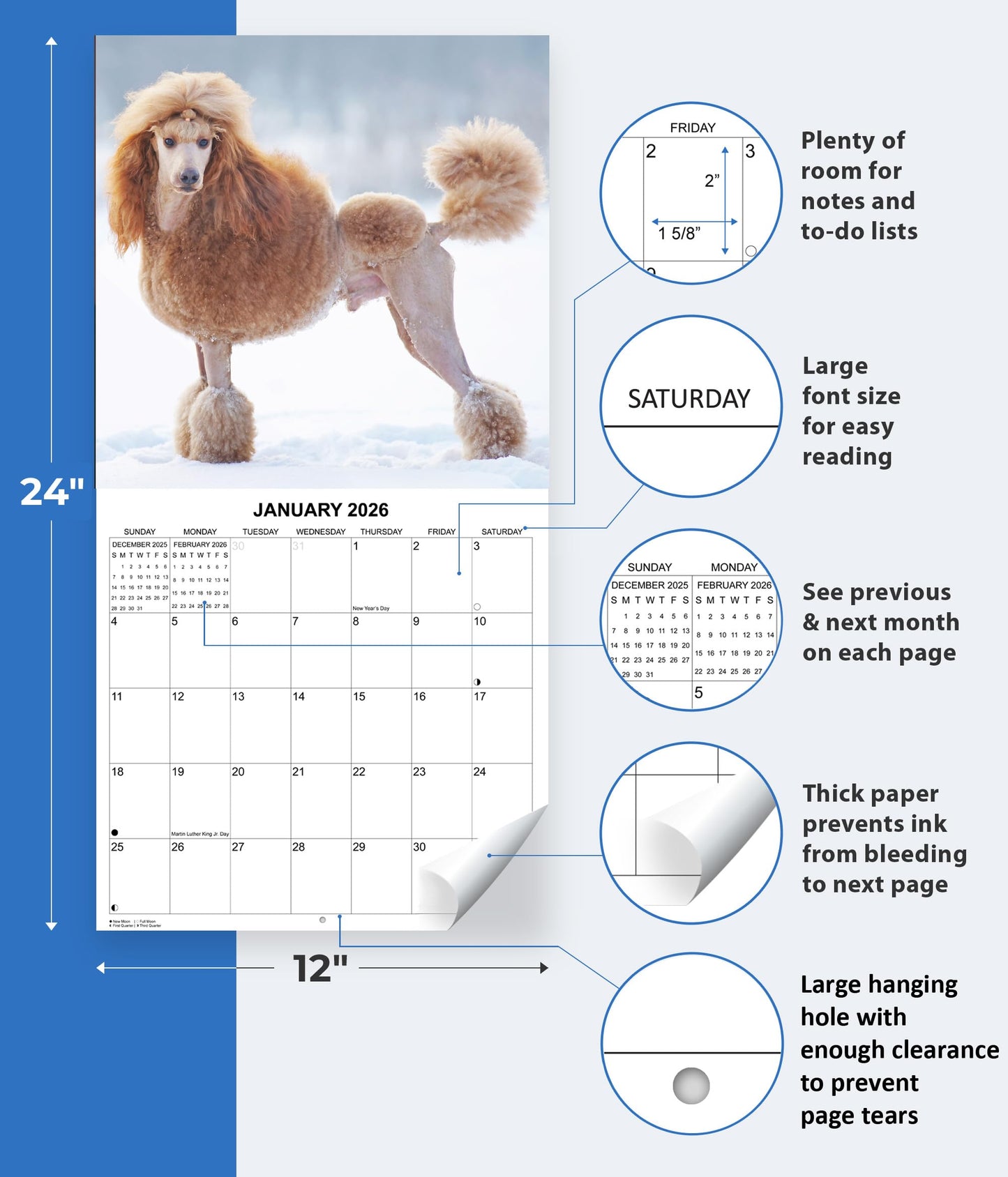 2026 Poodles Monthly Wall Calendar | 12" x 24" | Dogs Calendar 2025-2026