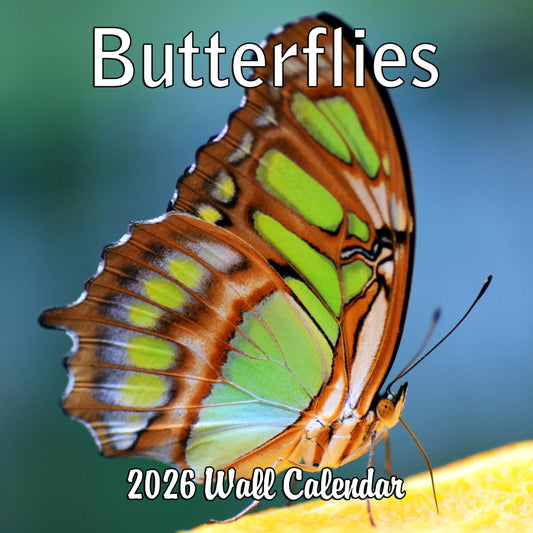 2026 Butterflies Monthly Wall Calendar | 12" x 24" | Animals Calendar 2025-2026