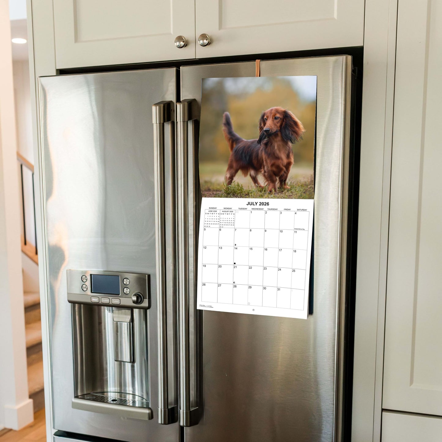 2026 Dachshund Weiner Dogs Monthly Wall Calendar | 12" x 24" | Wiener Dog Calendar September 2025- December 2026