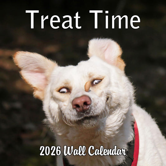 2026 Treat Time Monthly Wall Calendar - Dogs Making Funny Faces Trying to Catch Treats | 12" x 24" | Funny Dog Calendar September 2025 - December 2026