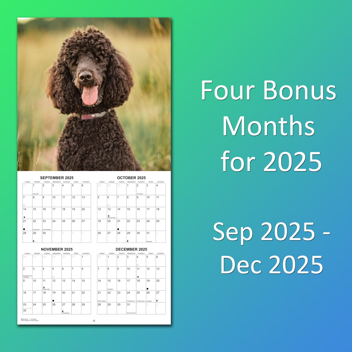 2026 Poodles Monthly Wall Calendar | 12" x 24" | Dogs Calendar 2025-2026