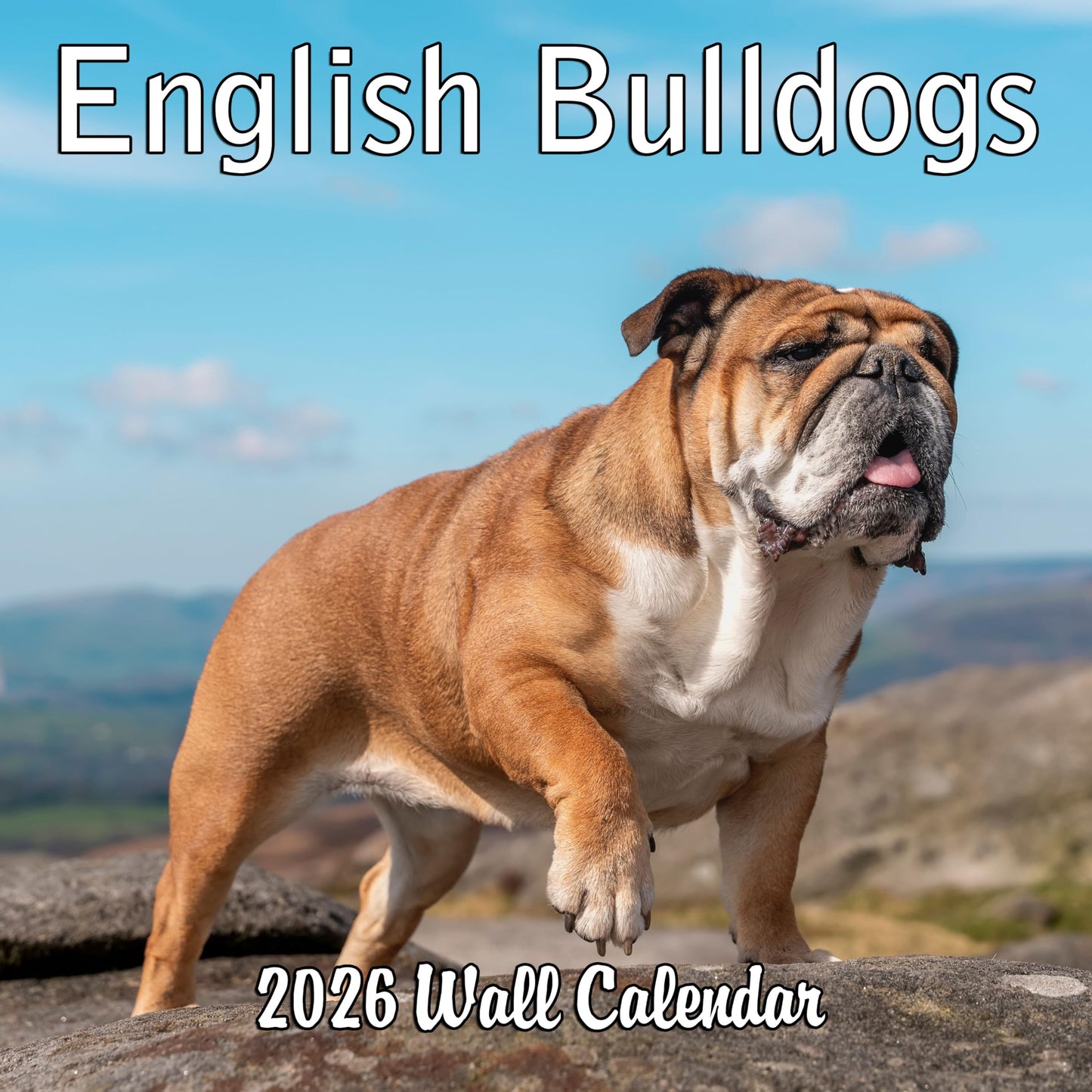 2026 English Bulldogs Monthly Wall Calendar | 12" x 24" | Dog Calendar September 2025 - December 2026