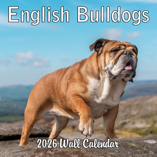 2026 English Bulldogs Monthly Wall Calendar | 12" x 24" | Dog Calendar September 2025 - December 2026