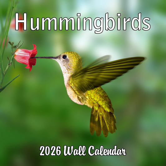 2026 Hummingbirds Monthly Wall Calendar | 12" x 24" | Animals Calendar 2025-2026