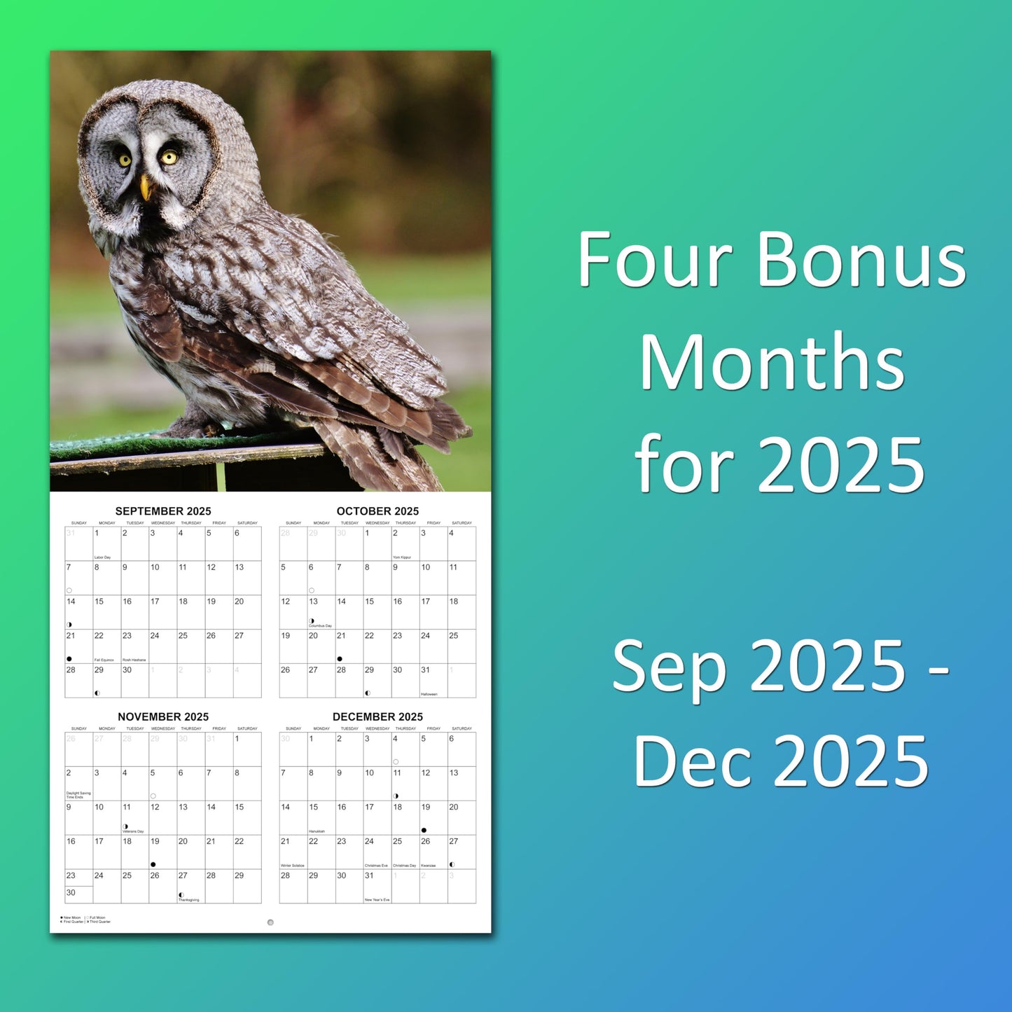 2026 Owls Monthly Wall Calendar | 12" x 24" | Animals Calendar 2025-2026