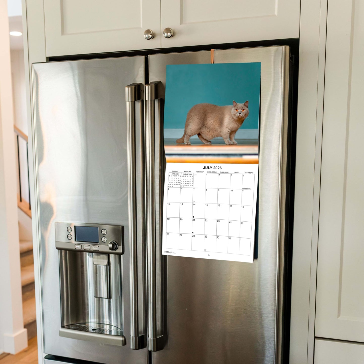 2026 Fat Cats Monthly Wall Calendar | 12" x 24" | Funny Cats Gag Gift or White Elephant Gift Calendar 2025-2026