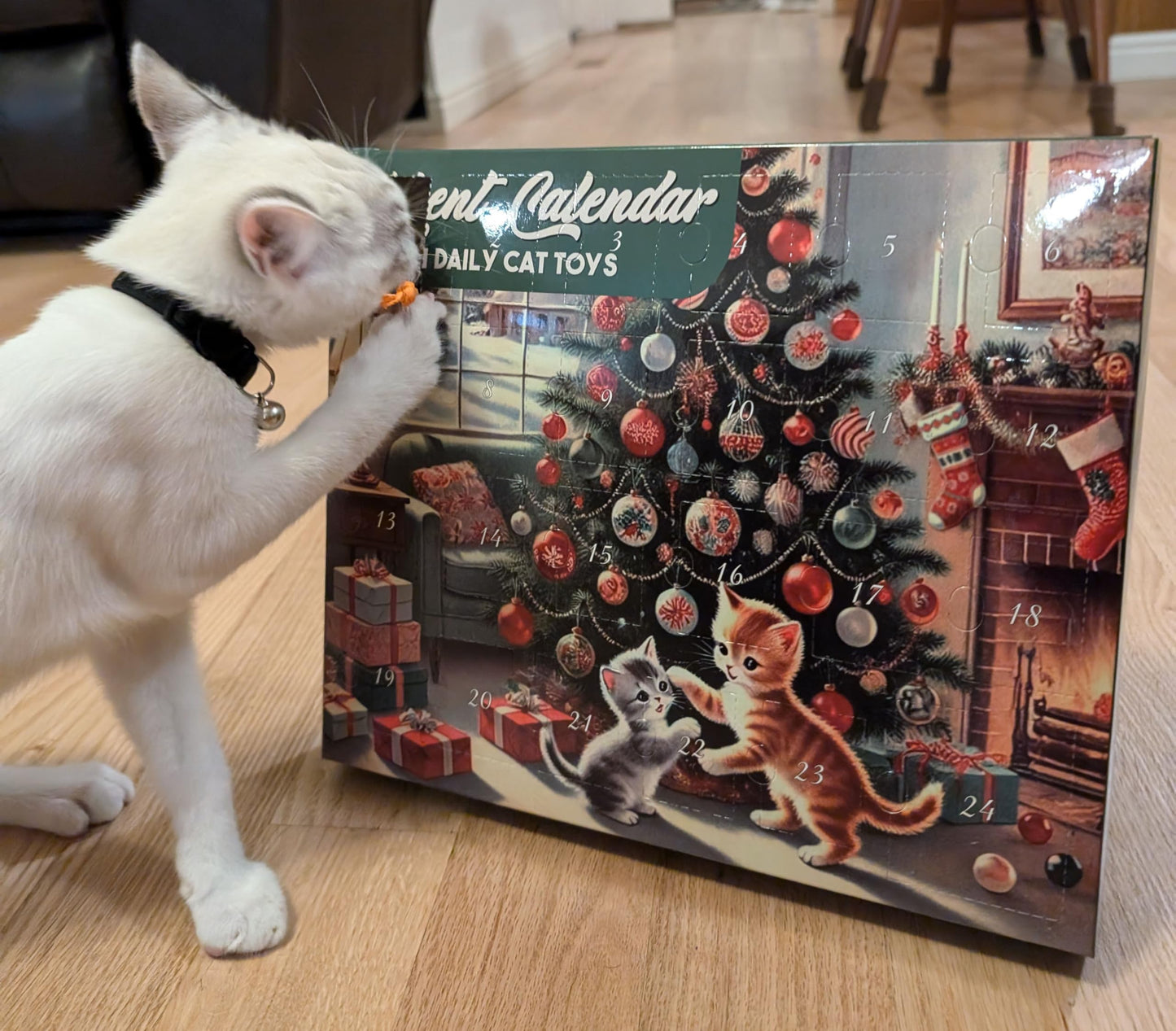 Cat Advent Calendar 2025-24 Days of Interactive Fun with 24 Cat Toys