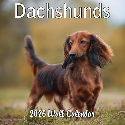 2026 Dachshund Weiner Dogs Monthly Wall Calendar | 12" x 24" | Wiener Dog Calendar September 2025- December 2026