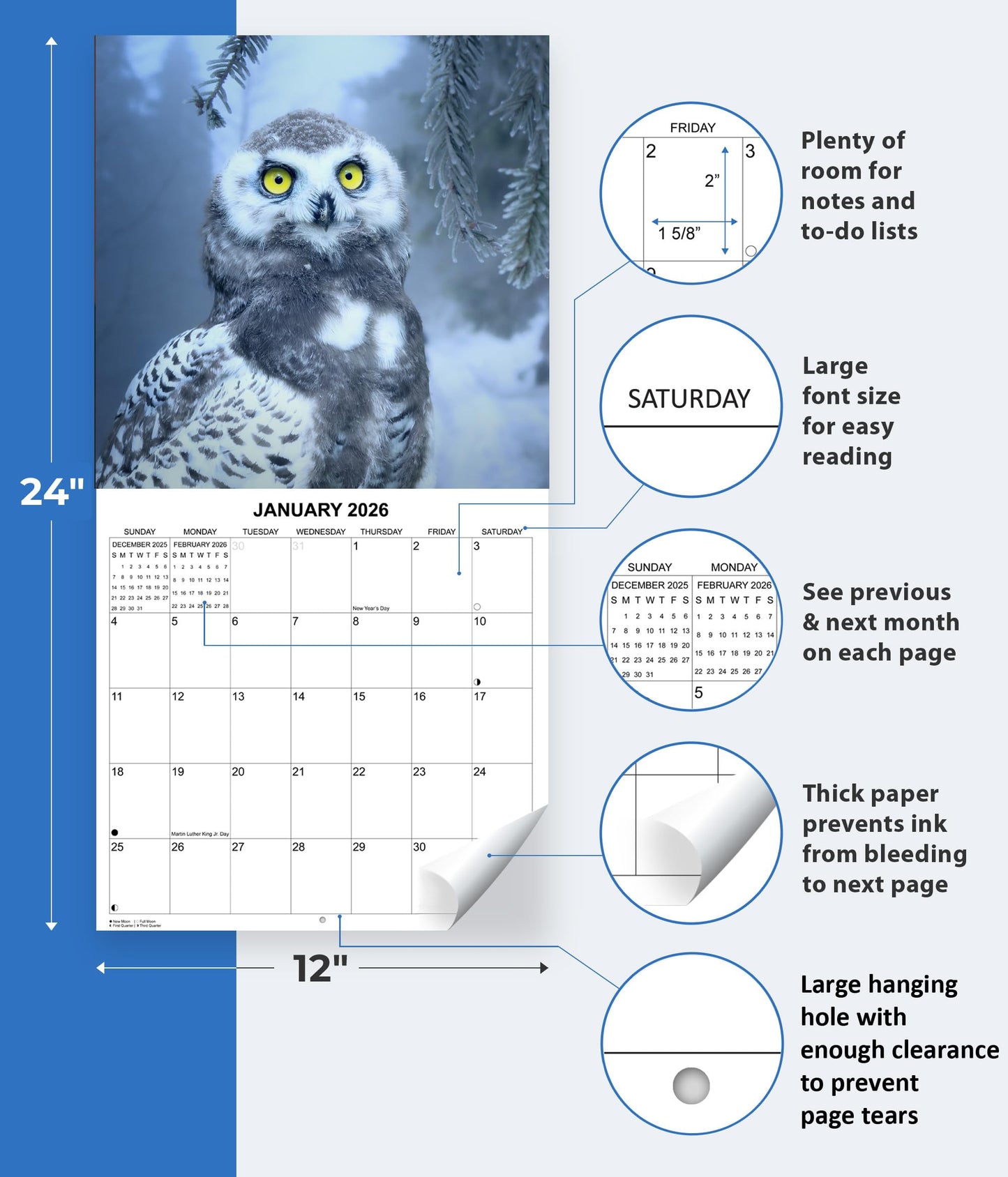 2026 Owls Monthly Wall Calendar | 12" x 24" | Animals Calendar 2025-2026