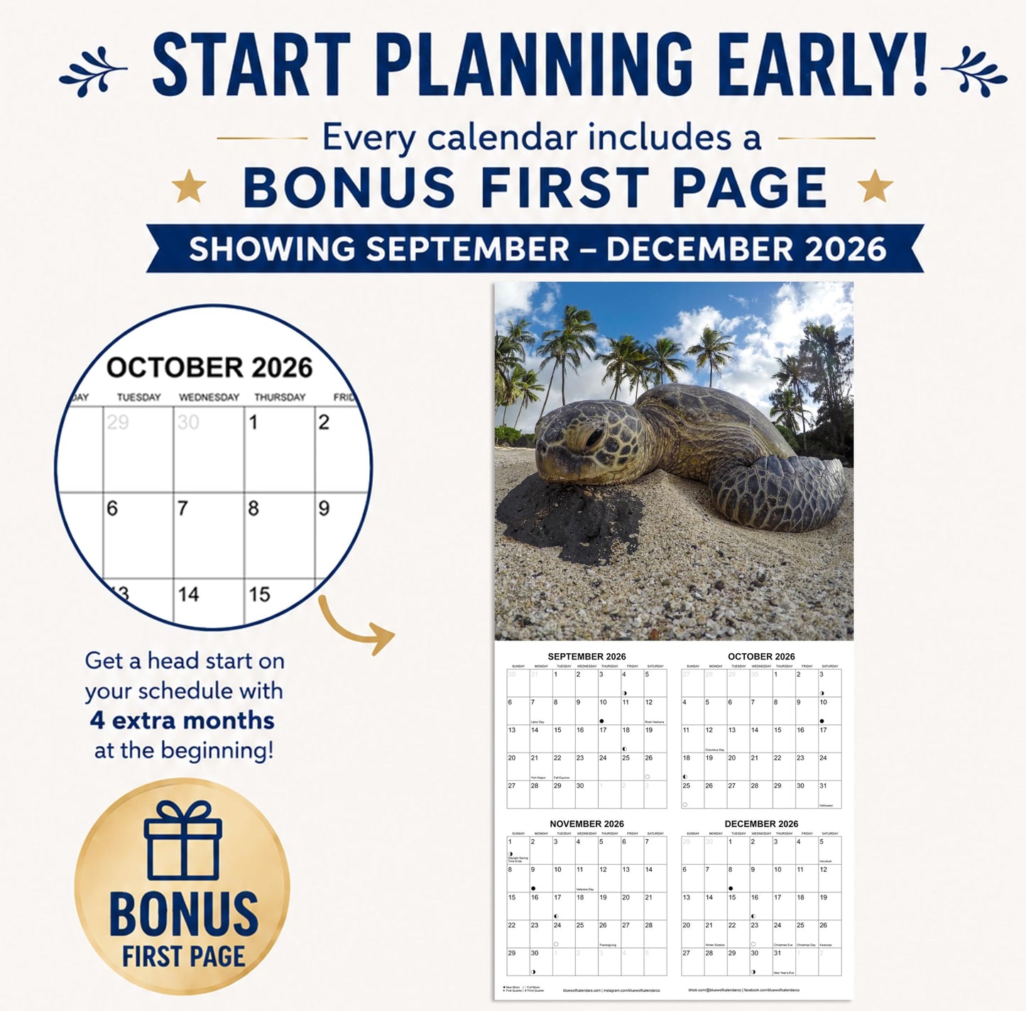 2027 Sea Turtles Monthly Wall Calendar | Cute Animals Sea Creatures Calendar 2026-2027