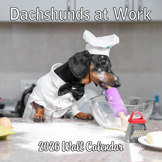 2026 Dachshunds at Work Monthly Wall Calendar | 12" x 24" | Funny Wiener Dog Calendar September 2025- December 2026