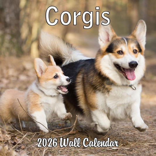 2026 Corgis Monthly Wall Calendar | 12" x 24" | Dog Calendar September 2025 - December 2026