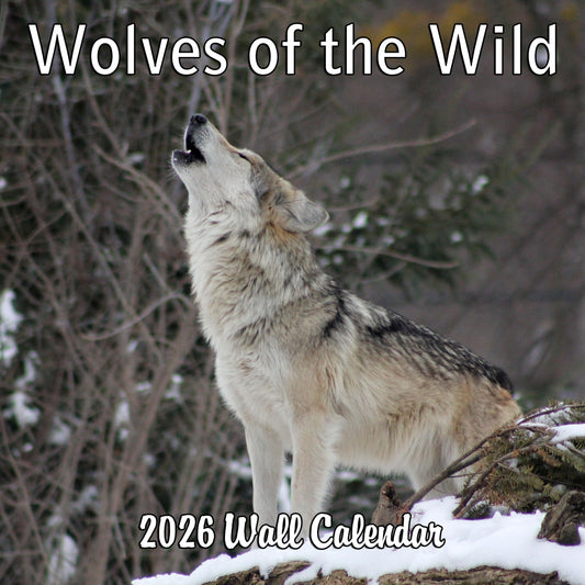 2026 Wolves of the Wild Monthly Wall Calendar | 12" x 24" | Animals Calendar 2025-2026