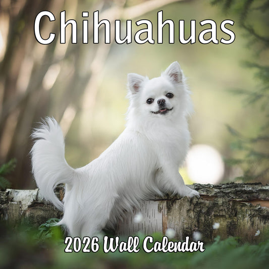 2026 Chihuahua Monthly Wall Calendar | 12" x 24" | September 2025 - December 2026 Chihuaha Dog Calendar