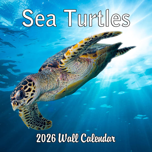 2026 Sea Turtles Monthly Wall Calendar | 12" x 24" | Animals Calendar 2025-2026