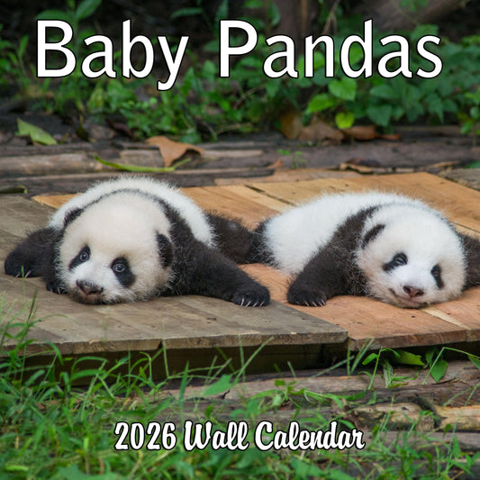 2026 Baby Pandas Monthly Wall Calendar | 12" x 24" | Animals Calendar 2025-2026