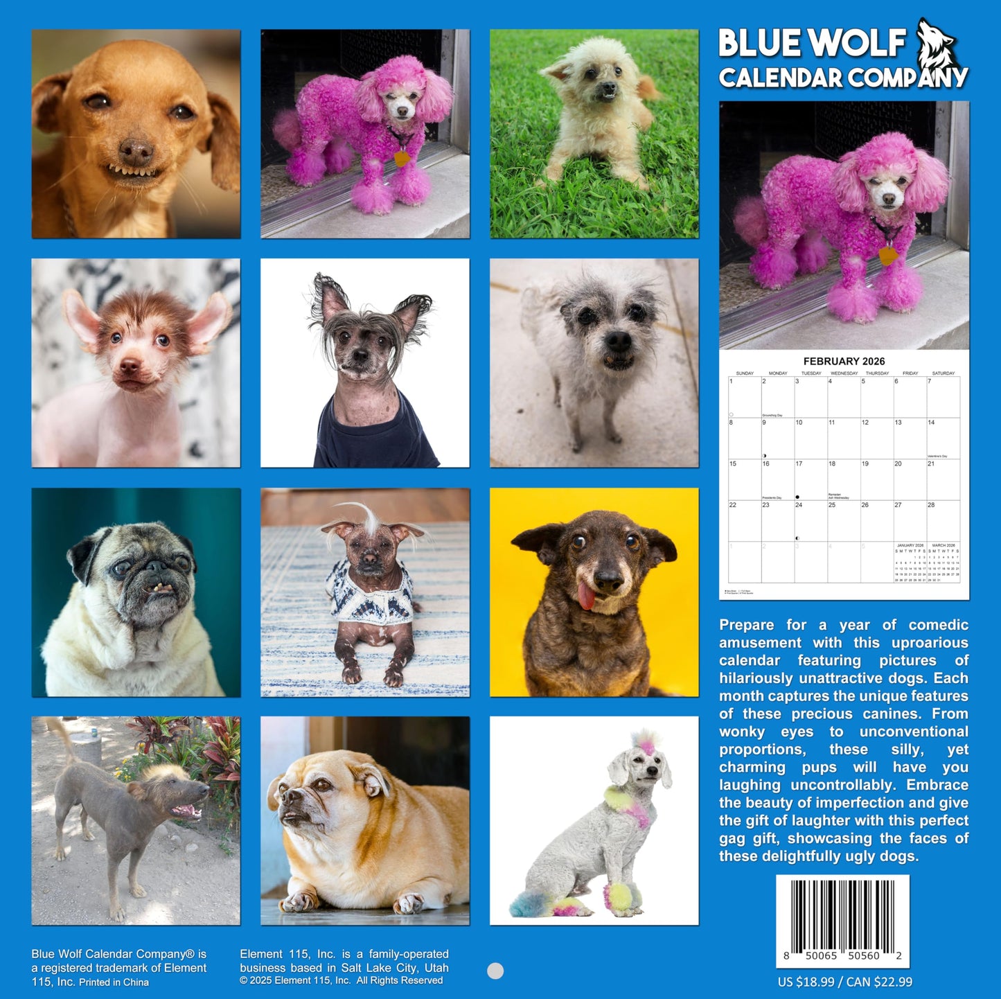 2026 Ugly Dogs Monthly Wall Calendar | Hilarious Gag Gift for Dog Lovers | Funny Dogs White Elephant Gift Calendar September 2025 - December 2026