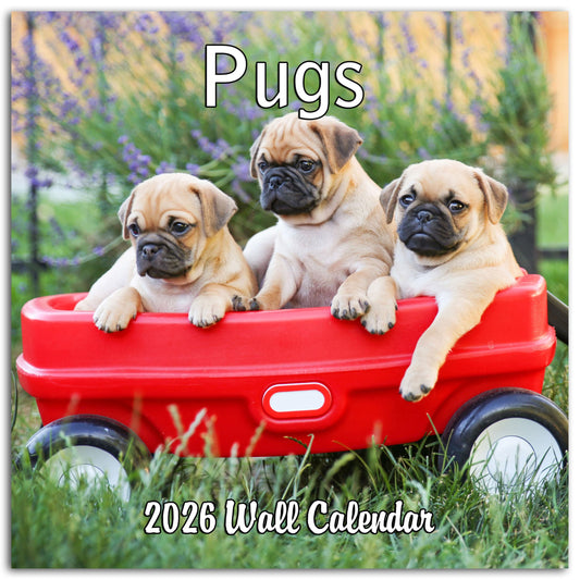 2026 Pugs Monthly Wall Calendar | 12" x 24" | Dog Calendar 2025-2026