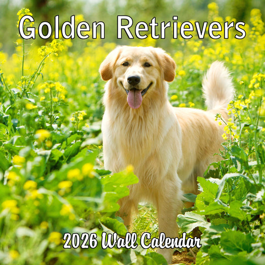 2026 Golden Retrievers Wall Calendar