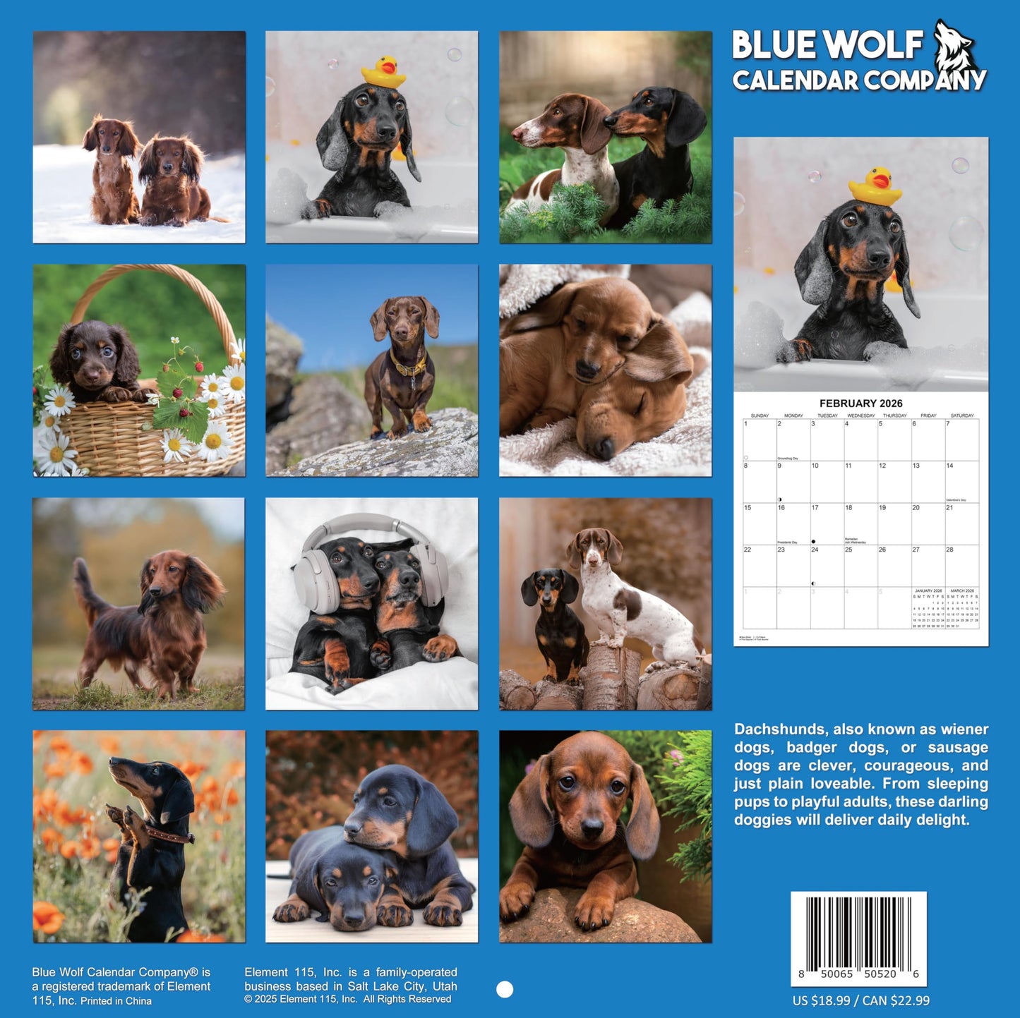 2026 Dachshund Weiner Dogs Monthly Wall Calendar | 12" x 24" | Wiener Dog Calendar September 2025- December 2026