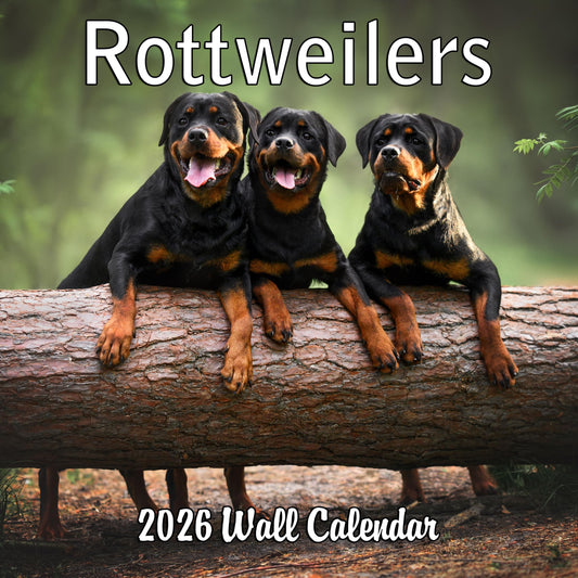 2026 Rottweilers Monthly Wall Calendar | 12" x 24" | Dog Calendar September 2025 - December 2026