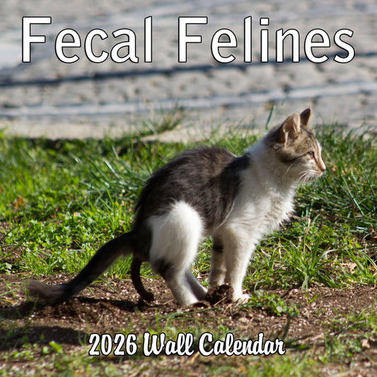 2026 Fecal Felines Monthly Wall Calendar | Prank Gift White Elephant or Gag Gift Pooping Cats Calendar
