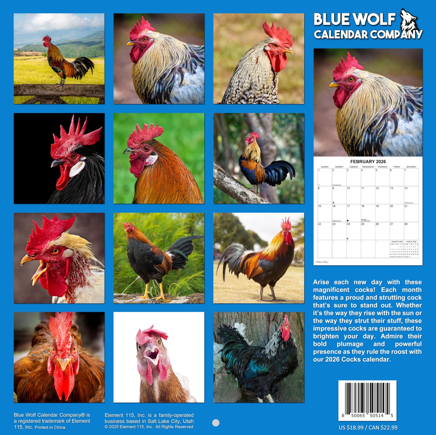 2026 Cocks Calendar - Roosters 2026 | 12" x 24" | Thick Sturdy Paper | White Elephant Gift or Gag Gift