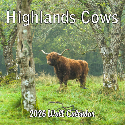 2026 Highland Cows Monthly Wall Calendar | 12" x 24" | Animals Calendar 2025-2026