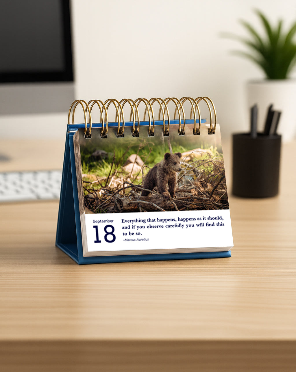 2025-2026 Stoic Meditations Perpetual Calendar: 366 Stoic Quotes for Reflection and Growth Daily Flip Calendar | Works for Any Year | Wise Sayings from Stoicism Philosophers | Philosophy Quotes Paired with Daily Photographs of Beautiful Landscapes and Wil