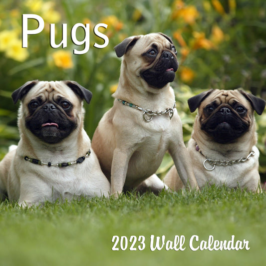 All about PUGS!!